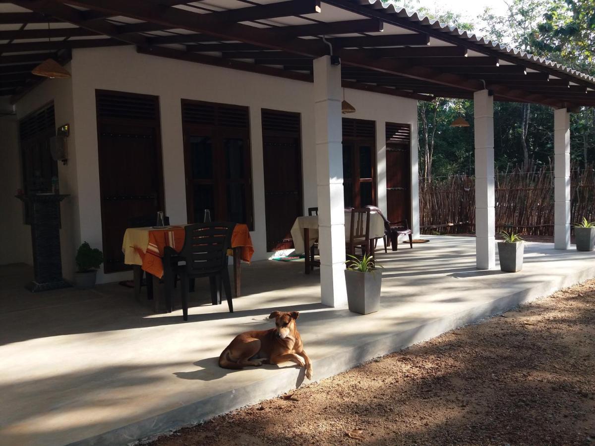 Cashew Villa Hiriketiya Dikwella Dış mekan fotoğraf