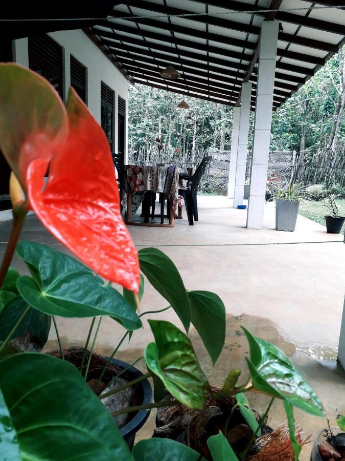 Cashew Villa Hiriketiya Dikwella Dış mekan fotoğraf