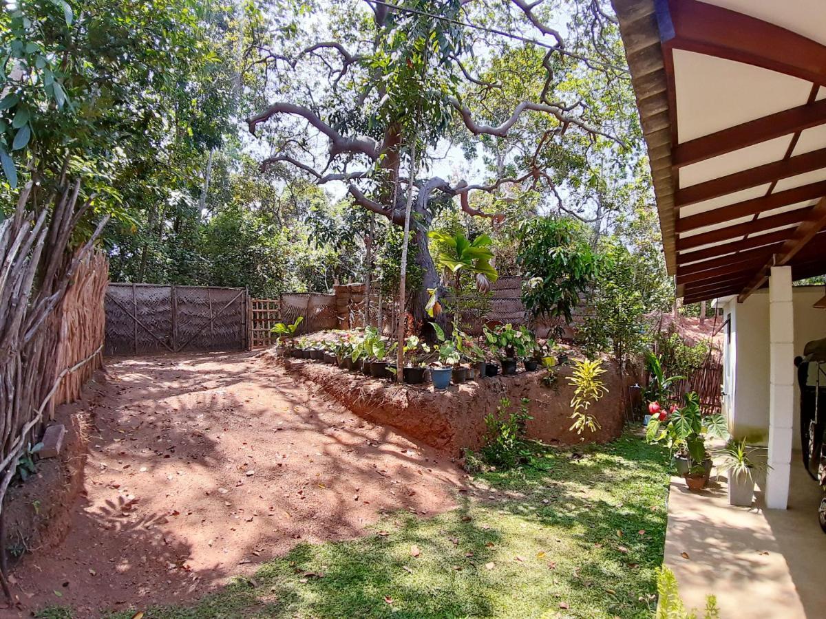 Cashew Villa Hiriketiya Dikwella Dış mekan fotoğraf